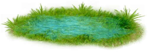 Pond.Water.Grass.Blue.Green - 免费PNG