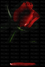 Rose rouge. - Free animated GIF