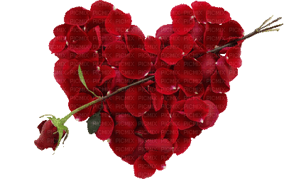 flower hearts-nitsa - Gratis animeret GIF