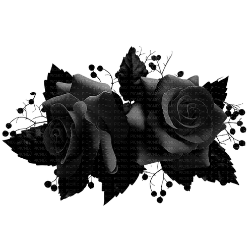 Gothic.Roses.Black - png gratuito