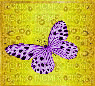 mon papillon - GIF animé gratuit