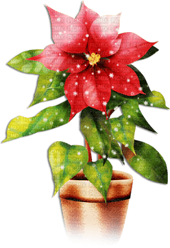 soave deco flowers vase christmas winter - PNG gratuit