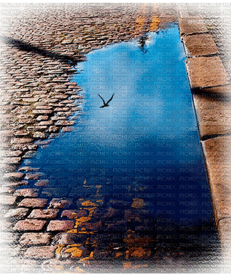 Deco, Scenery, Street, Streets, Brick, Bricks, Water, Bird, Birds, Background, Backgrounds, Animation, GIF - Jitter.Bug.Girl - Ingyenes animált GIF
