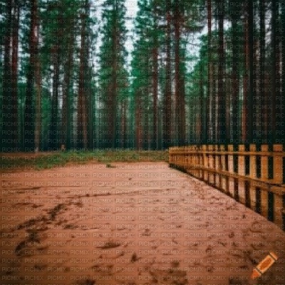 Pine Trees and Fence - png gratuito