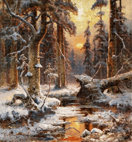 Rena Forest Winter Wald Hintergrund Background - png ฟรี