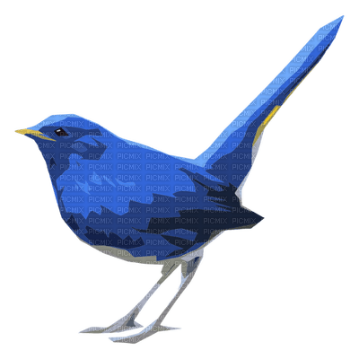 Bird - PNG gratuit