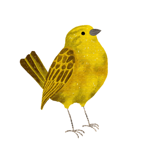 bird singer - GIF เคลื่อนไหวฟรี