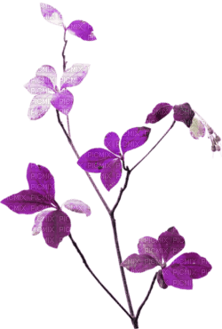 Kaz_Creations Purple Deco Scrap Leaves Leafs Colours - Free PNG