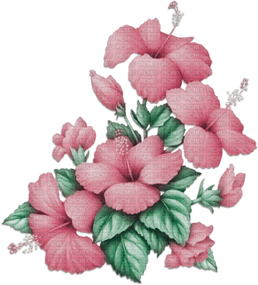 soave deco flowers summer tropical branch - zdarma png