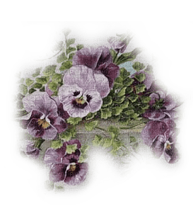 flores  violetas transparentes dubravka4 - Free PNG