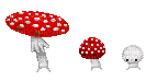 Mushrooms - GIF animé gratuit