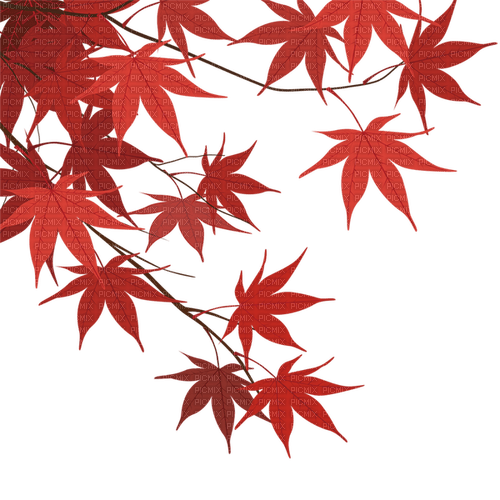 autumn Bb2 - PNG gratuit