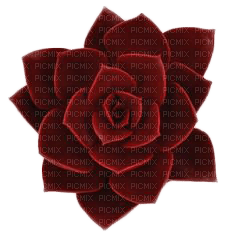 rose rouge.Cheyenne63 - darmowe png