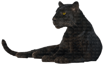 lounging panther - ilmainen png