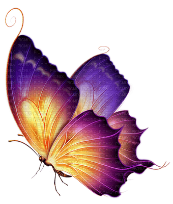 Kaz_Creations Butterflies Butterfly - PNG gratuit