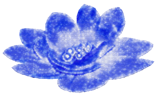 Animated.Flower.Pearls.Blue - By KittyKatLuv65 - GIF animé gratuit