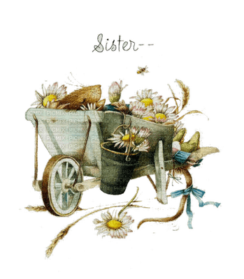 Mouse in a Cart - png gratis