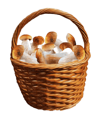 Корзина с грибами - gratis png