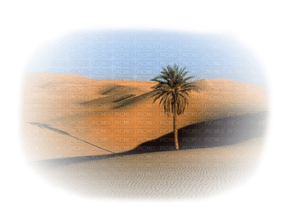 desert landscape bp - nemokama png
