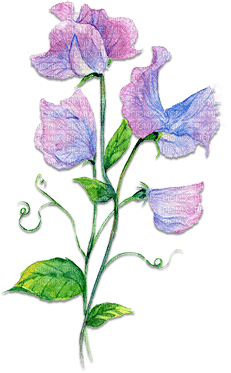soave deco flowers branch spring purple - Free PNG