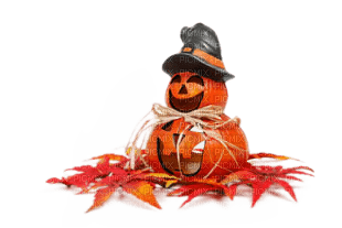 Halloween  citrruoille - zadarmo png