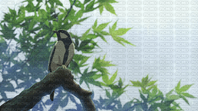 animé - Free animated GIF
