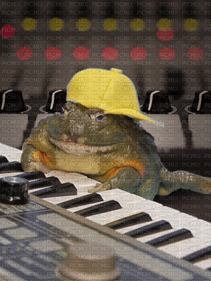 frog - 免费动画 GIF