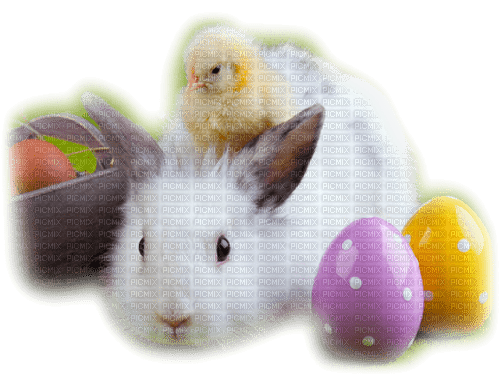 Y.A.M._Easter - zdarma png