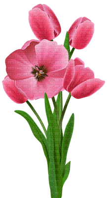 Kaz_Creations Spring Flowers - gratis png