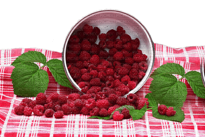 raspberries bp - zadarmo png