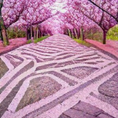 Pink Sakura Path - 免费PNG