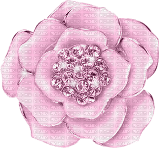 fiore rosa-rosa blomma-pink flower-fleur rose-minou52 - PNG gratuit