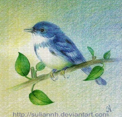 blue bird - фрее пнг