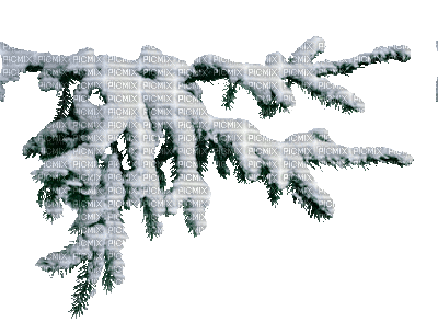 Zima choinka - Zdarma animovaný GIF