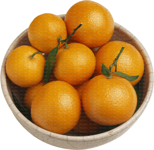 charmille _ fruits - PNG gratuit