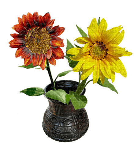 Bloemen en planten - zadarmo png