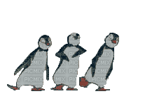 pingouin - GIF animado grátis