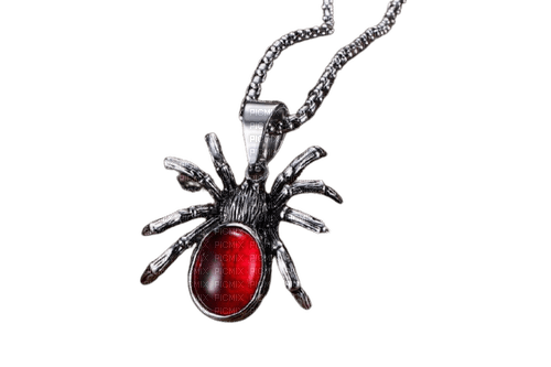 VanessaVallo _crea-gothic necklace spider - ilmainen png