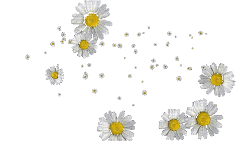 falling flowers - Gratis animerad GIF