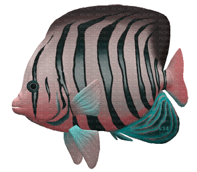 aze poisson s34 - Безплатен анимиран GIF