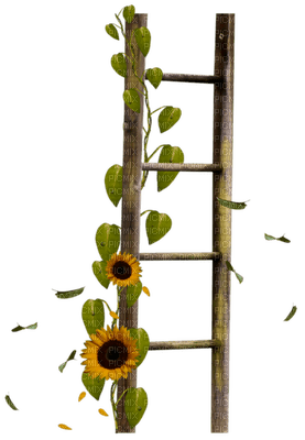 Kaz_Creations Ladders - darmowe png