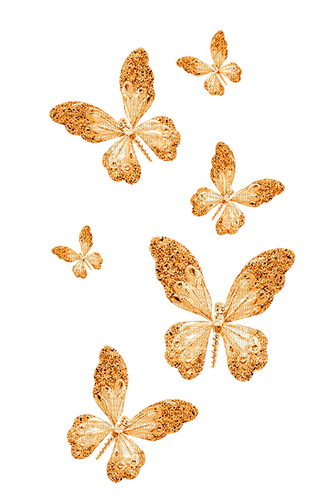 Butterflies.Orange - darmowe png