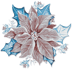 soave deco christmas winter flowers scrap holly - zdarma png