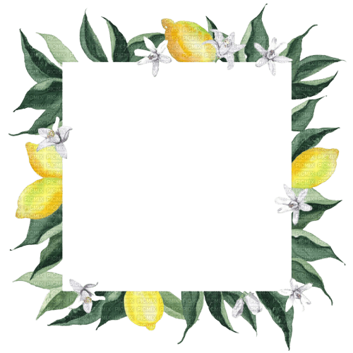 kikkapink lemon fruit deco png frame summer - 免费PNG