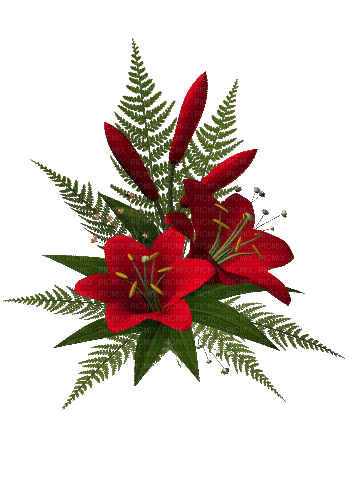 Bloemen en planten - Free animated GIF