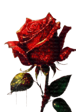 red rose glitter - GIF animate gratis