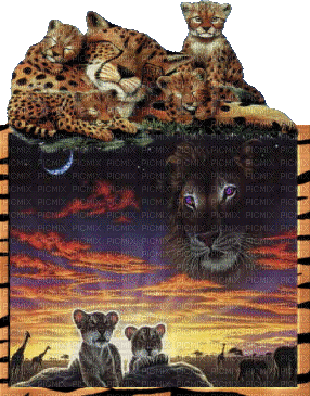 cheetah bp - Nemokamas animacinis gif