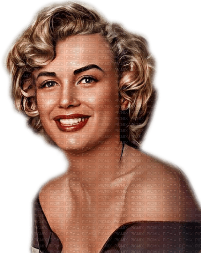 Marilyn Monroe Art - zdarma png