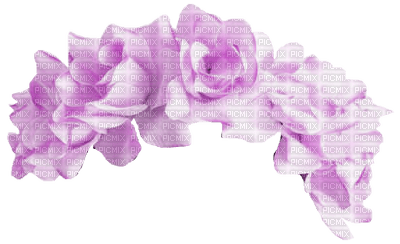lila-flowers - zdarma png