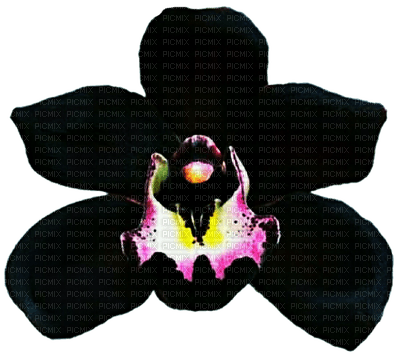 Flowers black bp - безплатен png